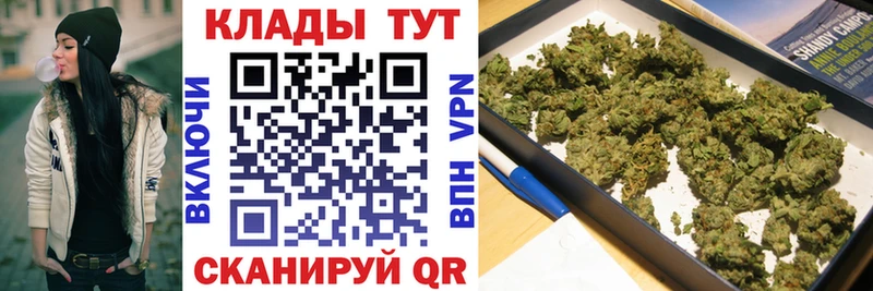 Виды наркоты Новосиль Каннабис  МЕФ  СОЛЬ  ГАШИШ 