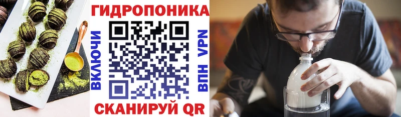Canna-Cookies конопля  kraken   Новосиль 