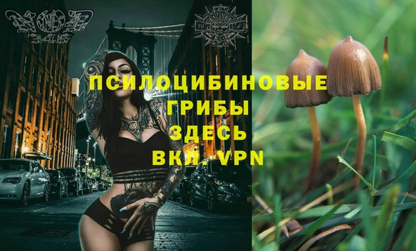 2c-b Алексин