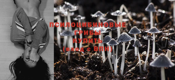 MDMA Алексеевка