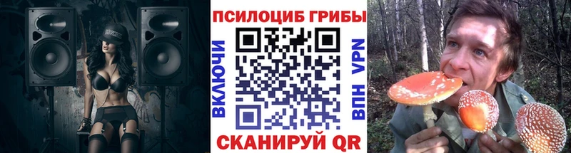 Псилоцибиновые грибы мухоморы  Новосиль 