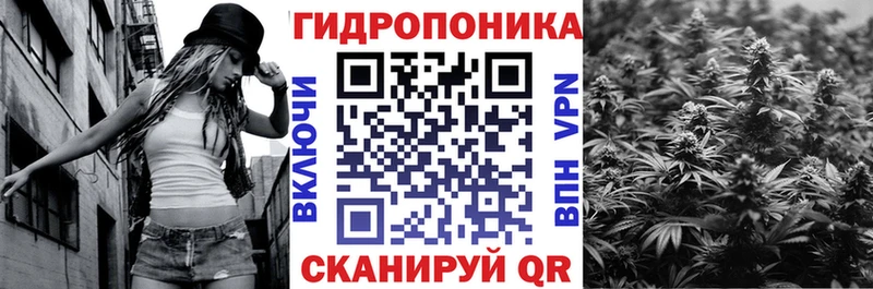 закладки  Новосиль  Канабис THC 21% 